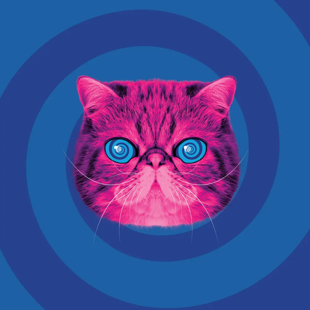 HypnoCat the pink fluffy persian reycling cat on a swirling blue background